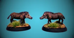 AA105 Wild Boar