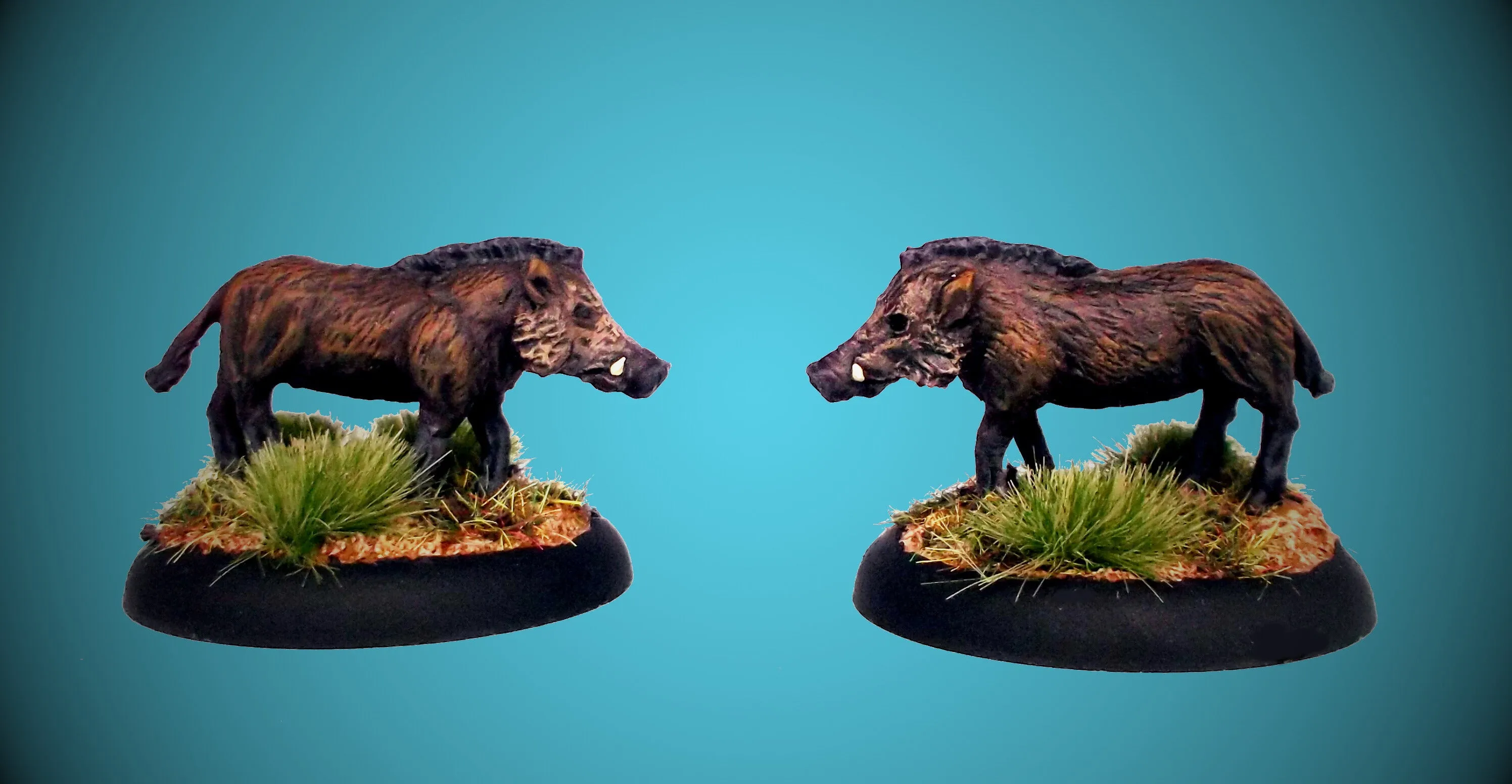 AA105 Wild Boar