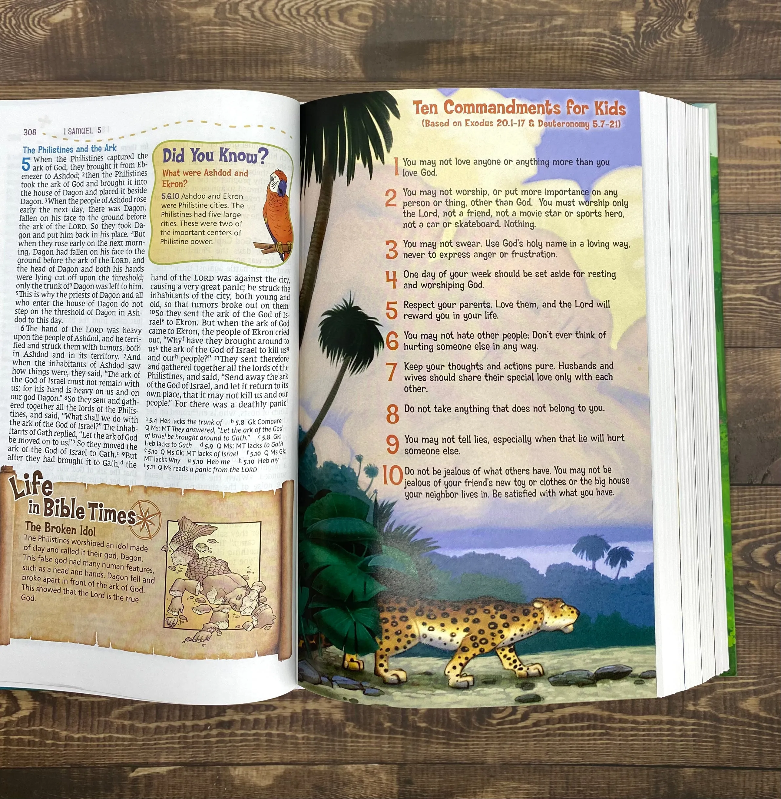 Adventure Bible