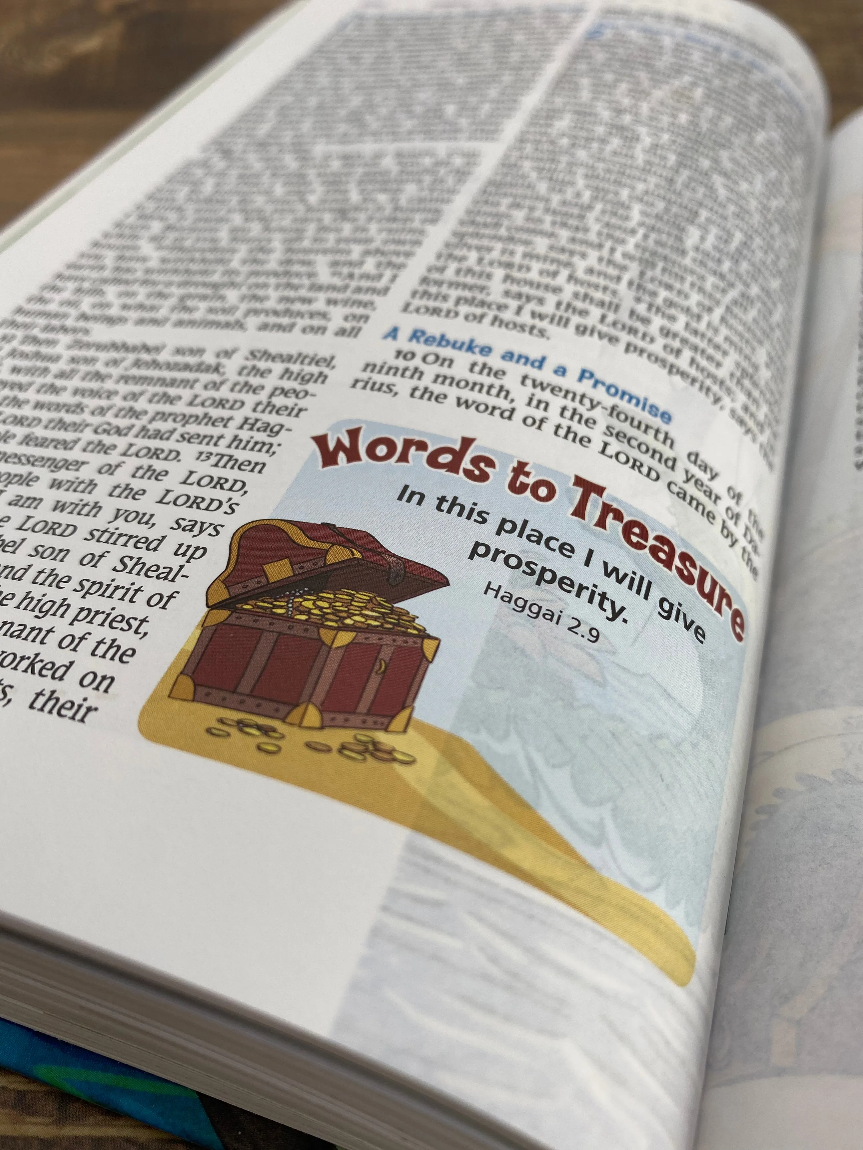 Adventure Bible