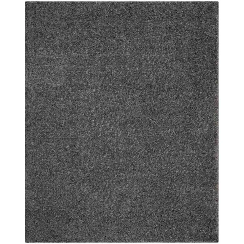 Arizona Shag Dark Gray Area Rug