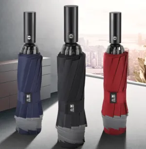 Automatic Luxurious Rain Umbrella