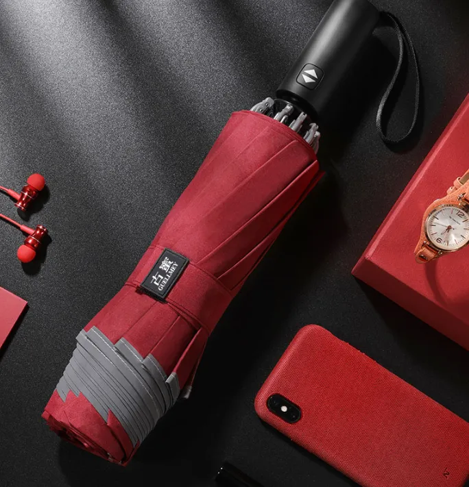Automatic Luxurious Rain Umbrella