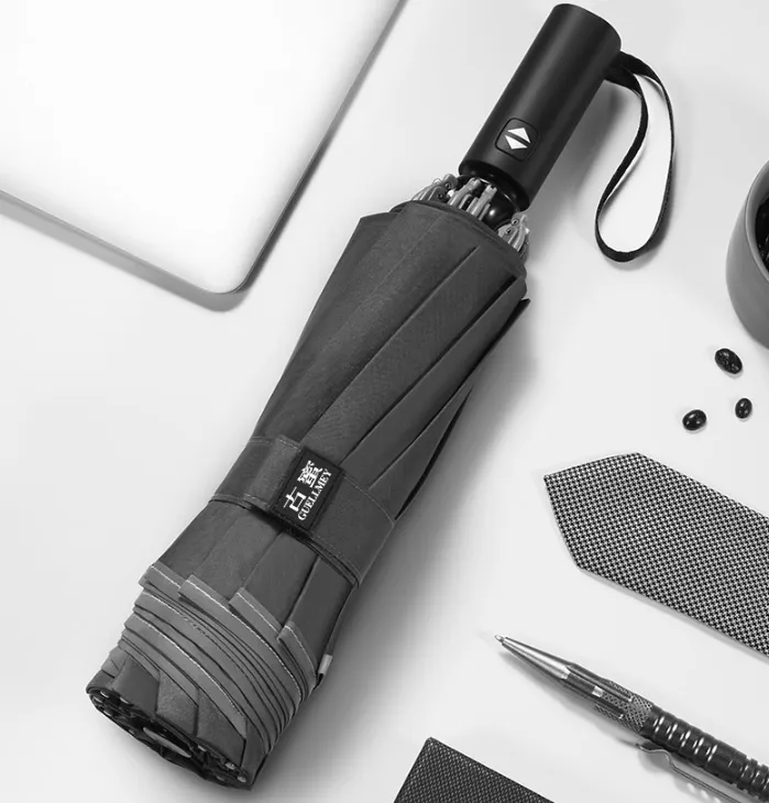 Automatic Luxurious Rain Umbrella