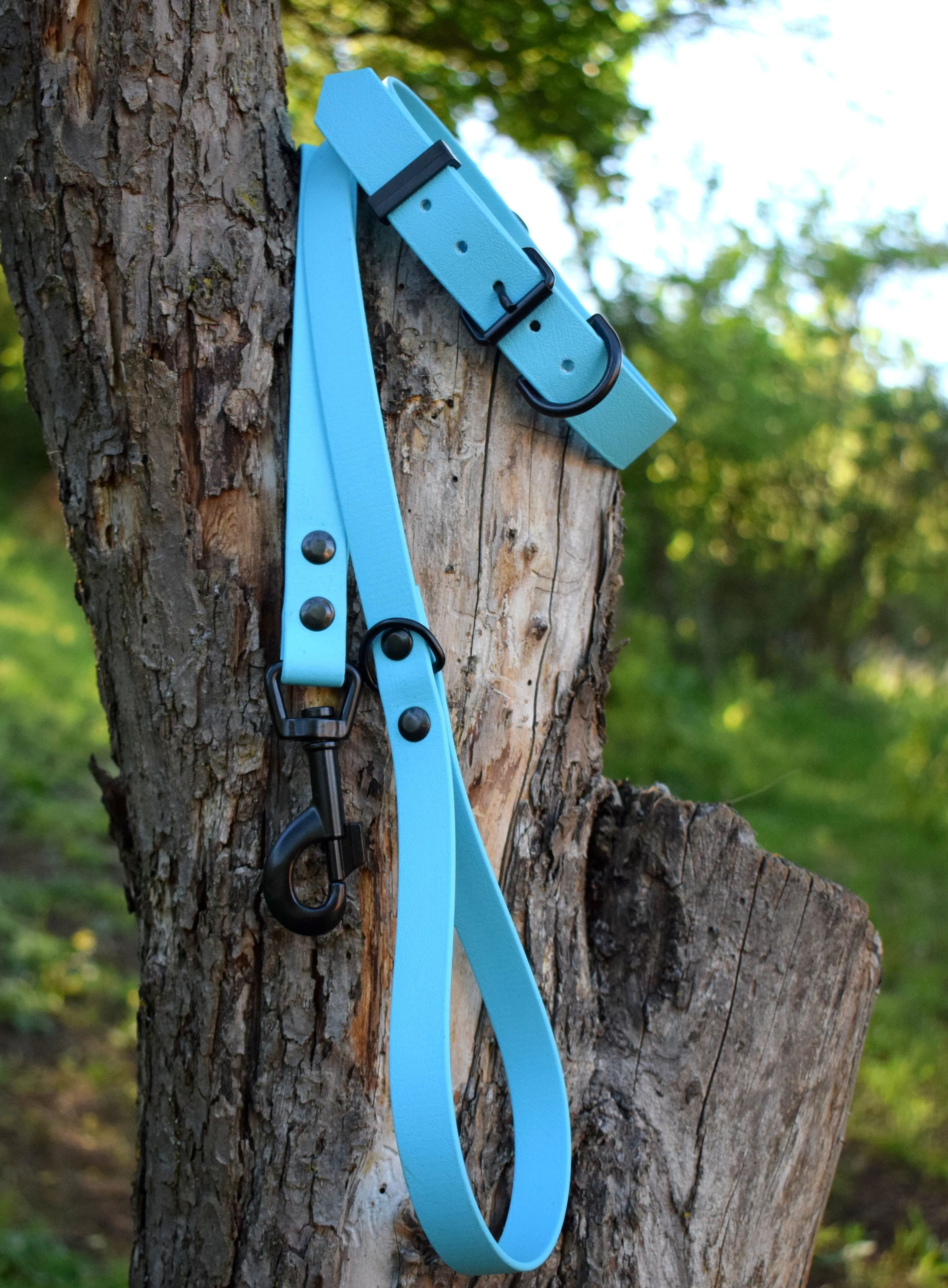 Bio Dog Leash