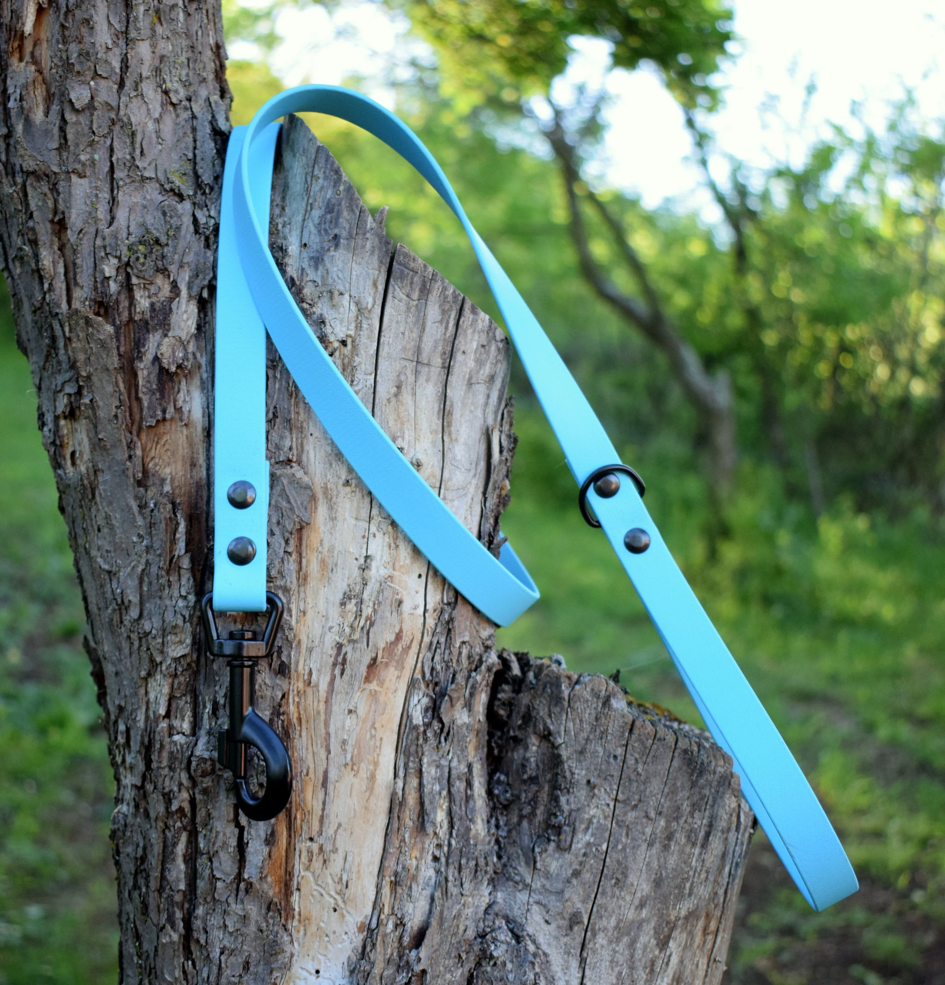 Bio Dog Leash
