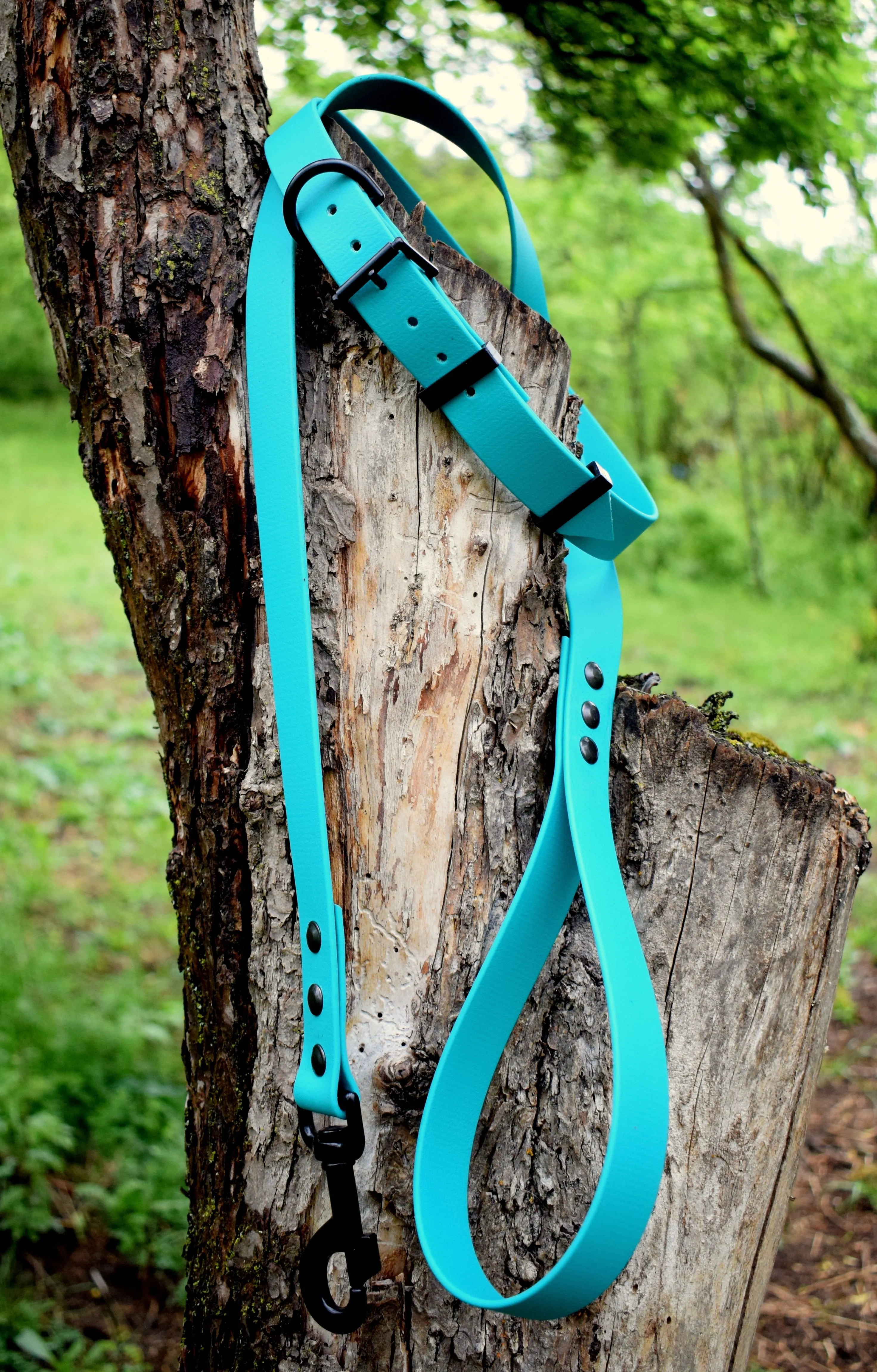 Bio Dog Leash