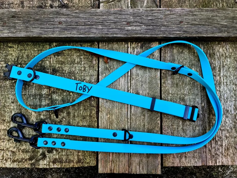 Bio Hands Free Adjustable Dog Leash