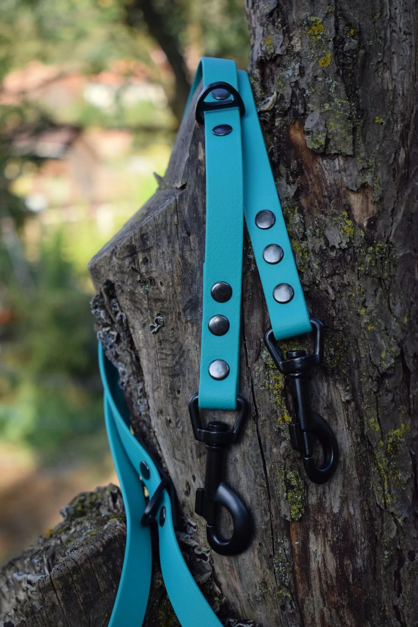 Bio Hands Free Adjustable Dog Leash