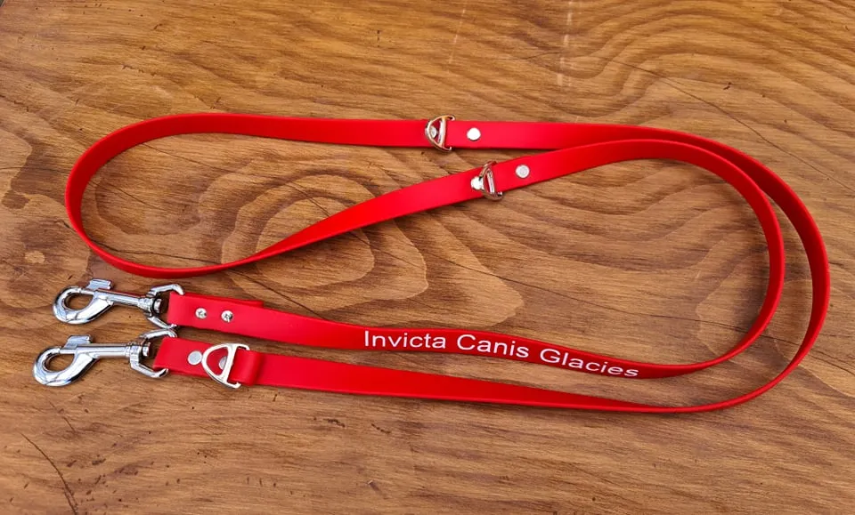 Bio Hands Free Adjustable Dog Leash
