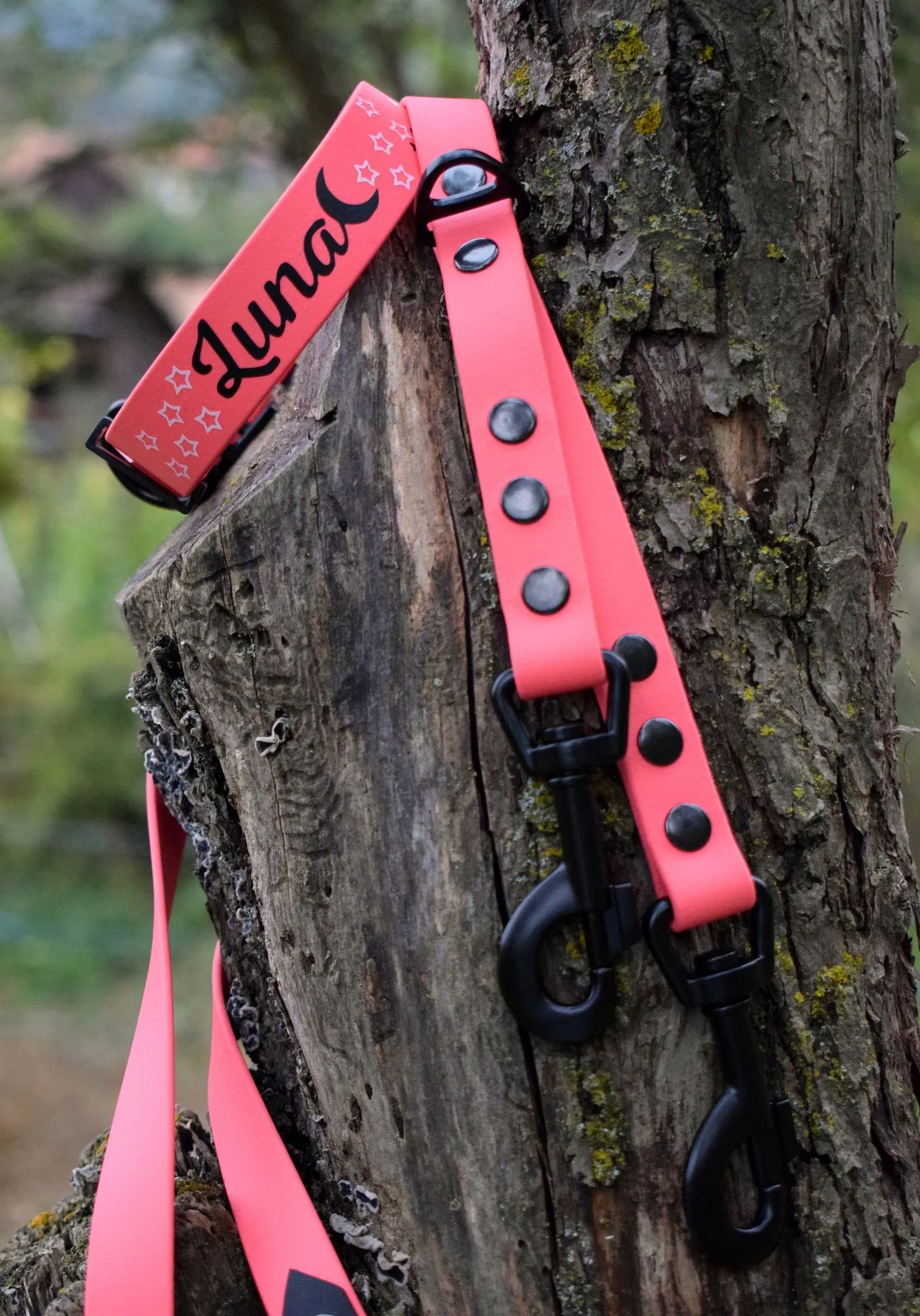 Bio Hands Free Adjustable Dog Leash