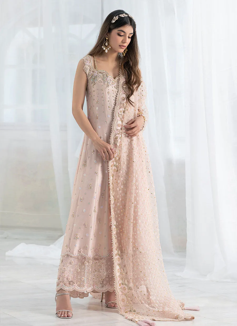 Blush mehr kalidaar