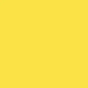 CB11-Y1 Yellow Bird