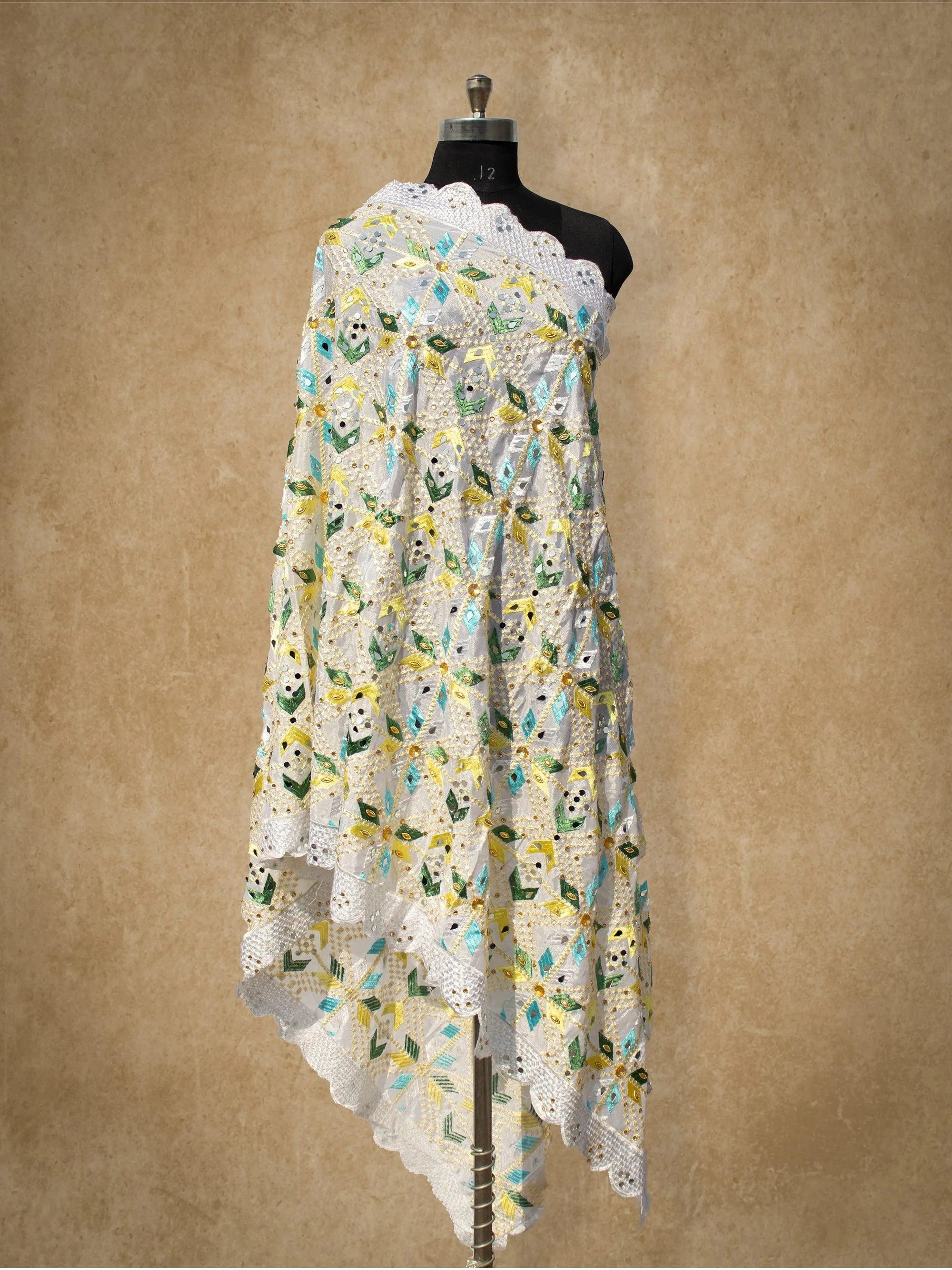 Magnificent Handloom Phulkari Dupatta DP-10