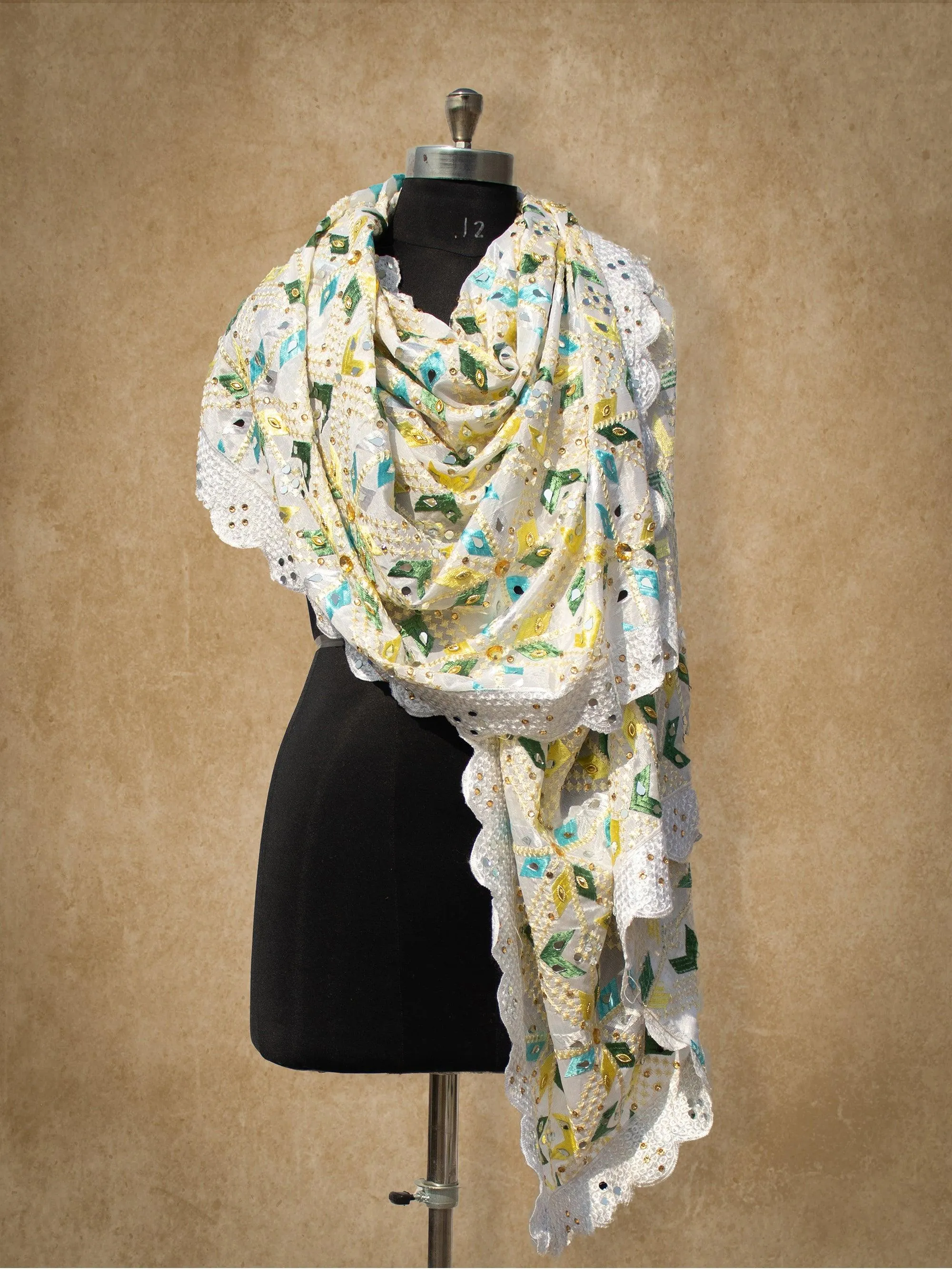 Magnificent Handloom Phulkari Dupatta DP-10