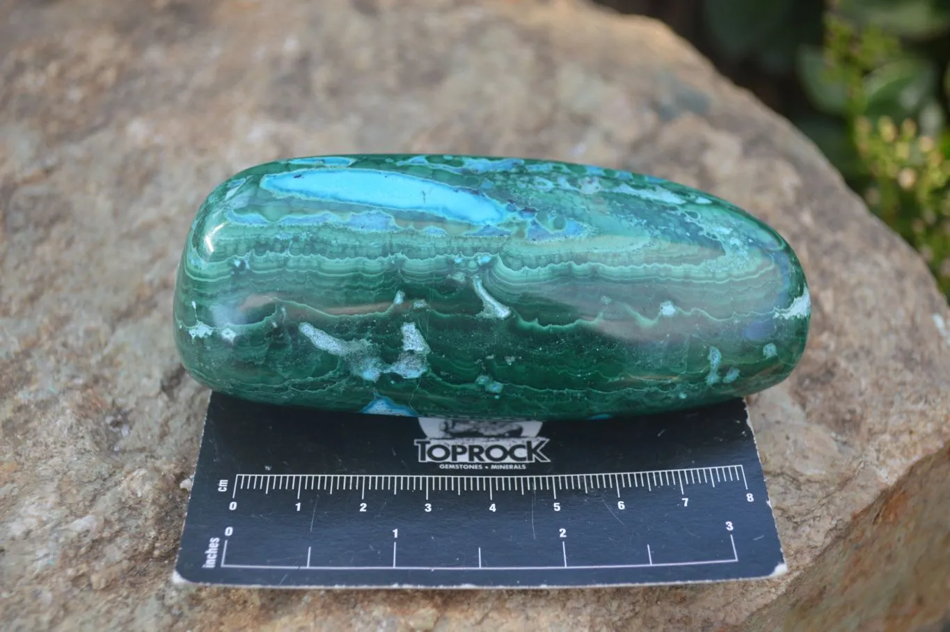 Polished Stunning Malacholla Free Forms  x 6 From Congo