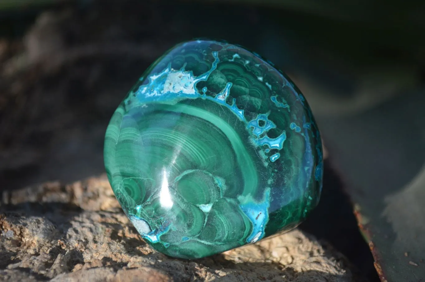 Polished Stunning Malacholla Free Forms  x 6 From Congo