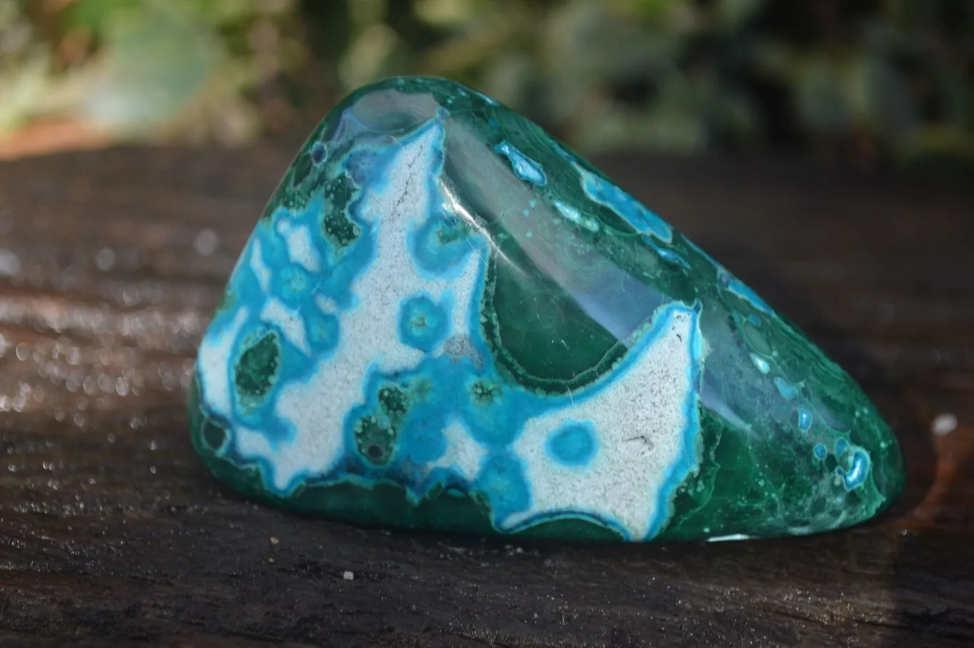 Polished Stunning Malacholla Free Forms  x 6 From Congo