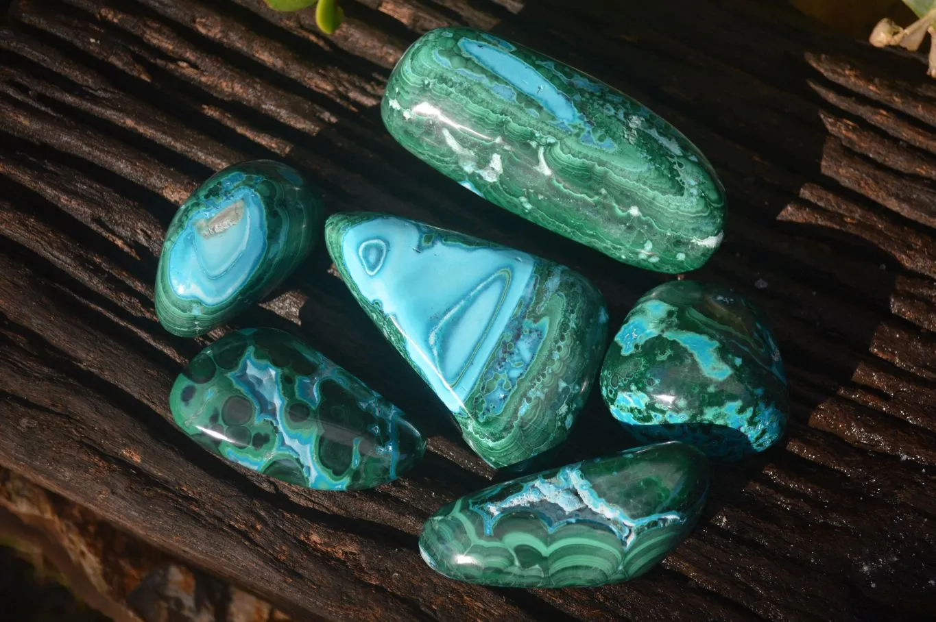 Polished Stunning Malacholla Free Forms  x 6 From Congo