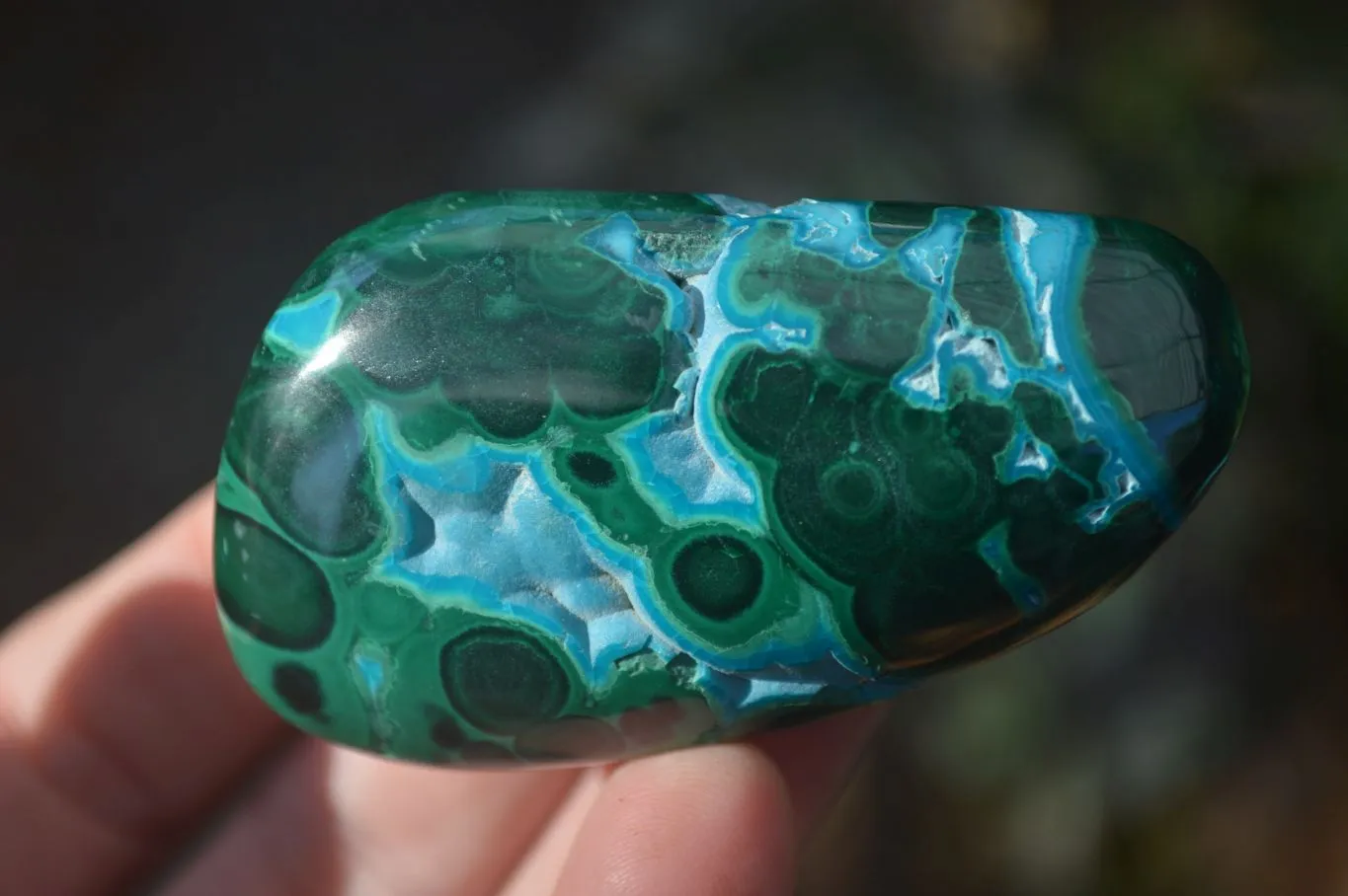 Polished Stunning Malacholla Free Forms  x 6 From Congo