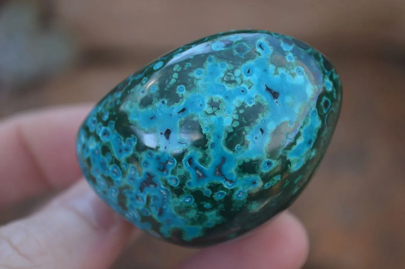 Polished Stunning Malacholla Free Forms  x 6 From Congo