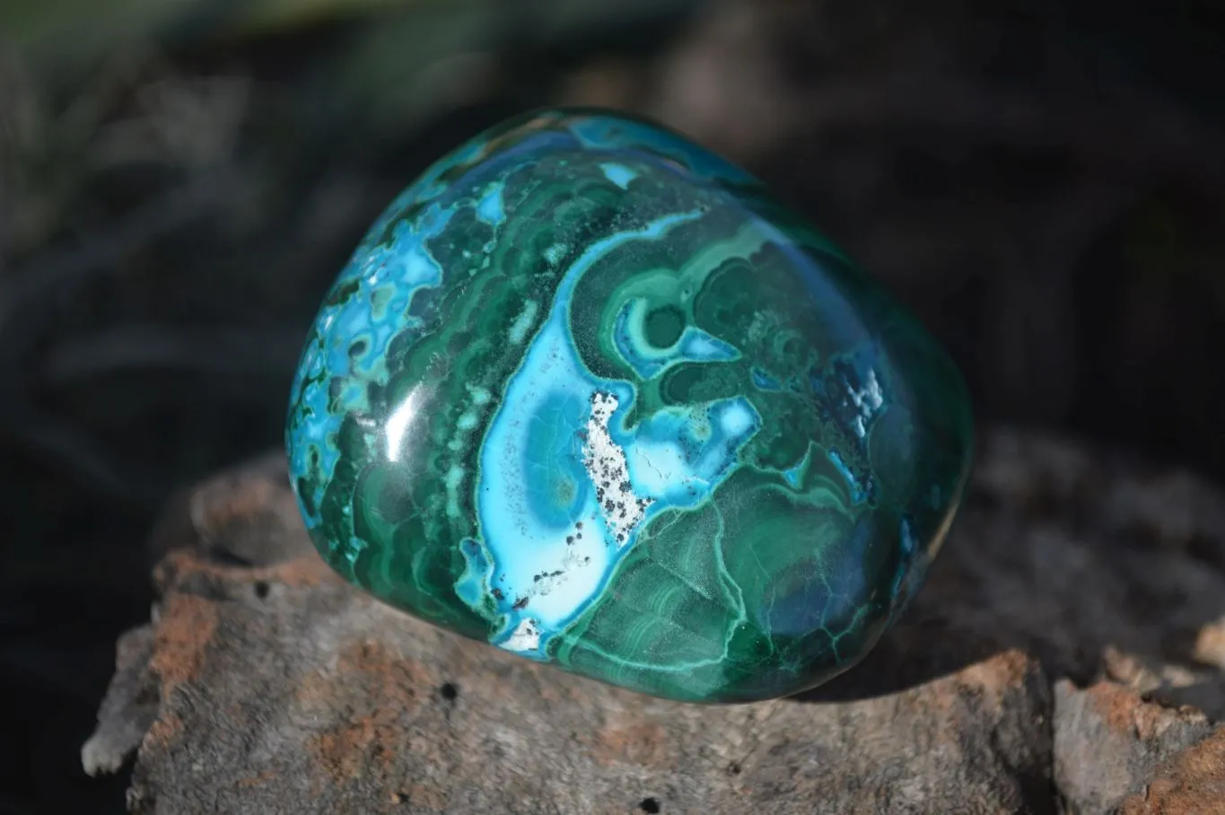 Polished Stunning Malacholla Free Forms  x 6 From Congo
