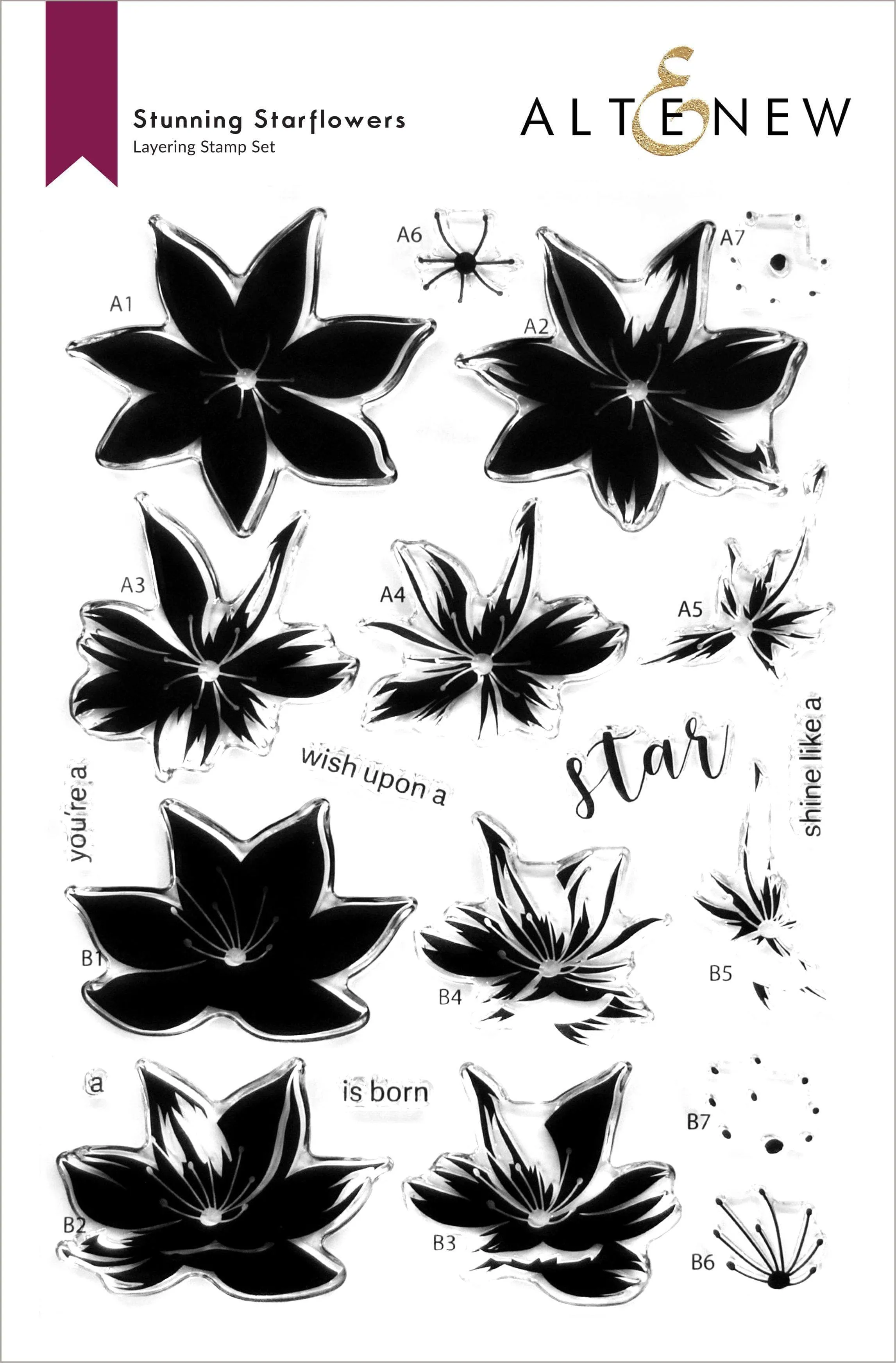 Stunning Starflowers