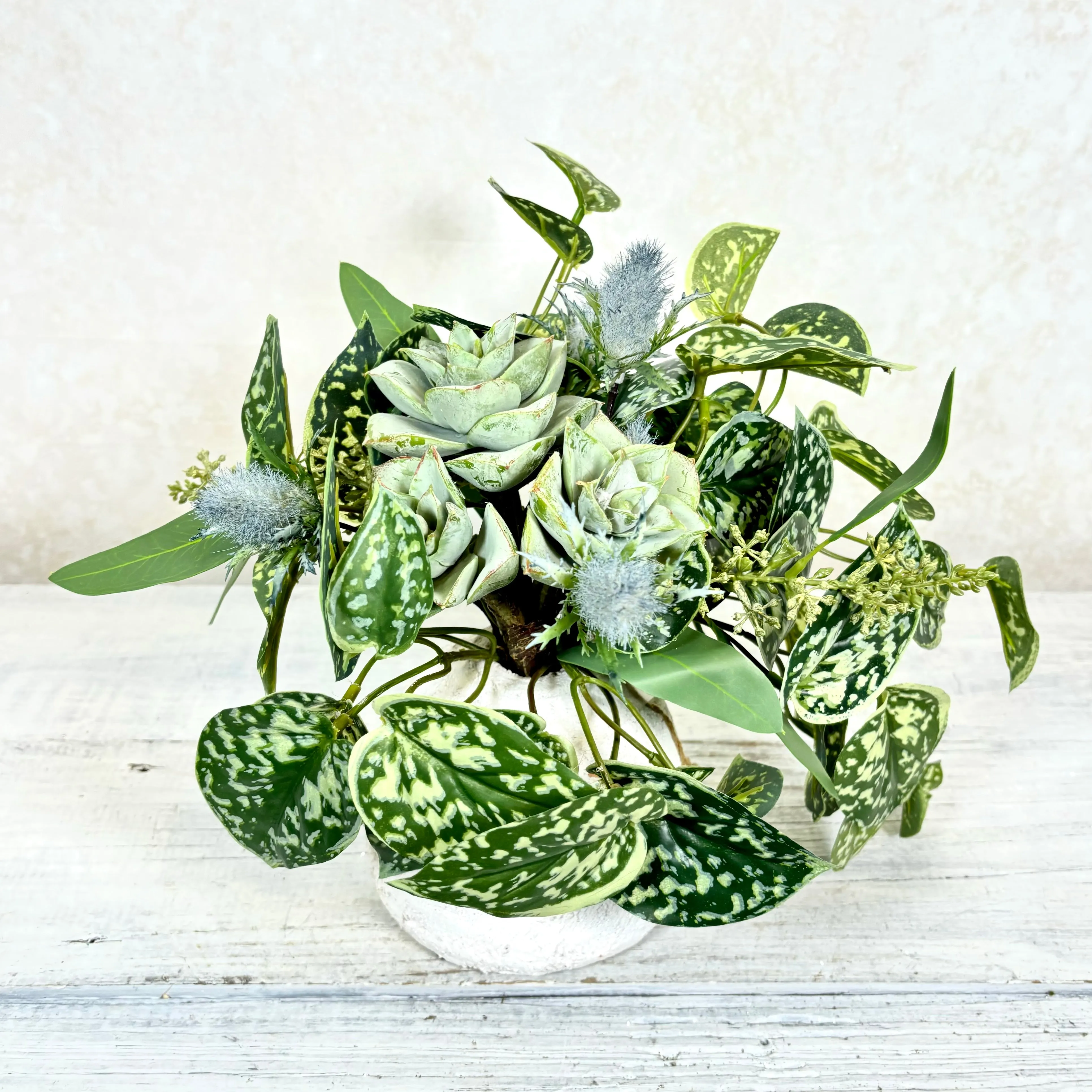 Succulent and Blue Thistle Petite Drop In