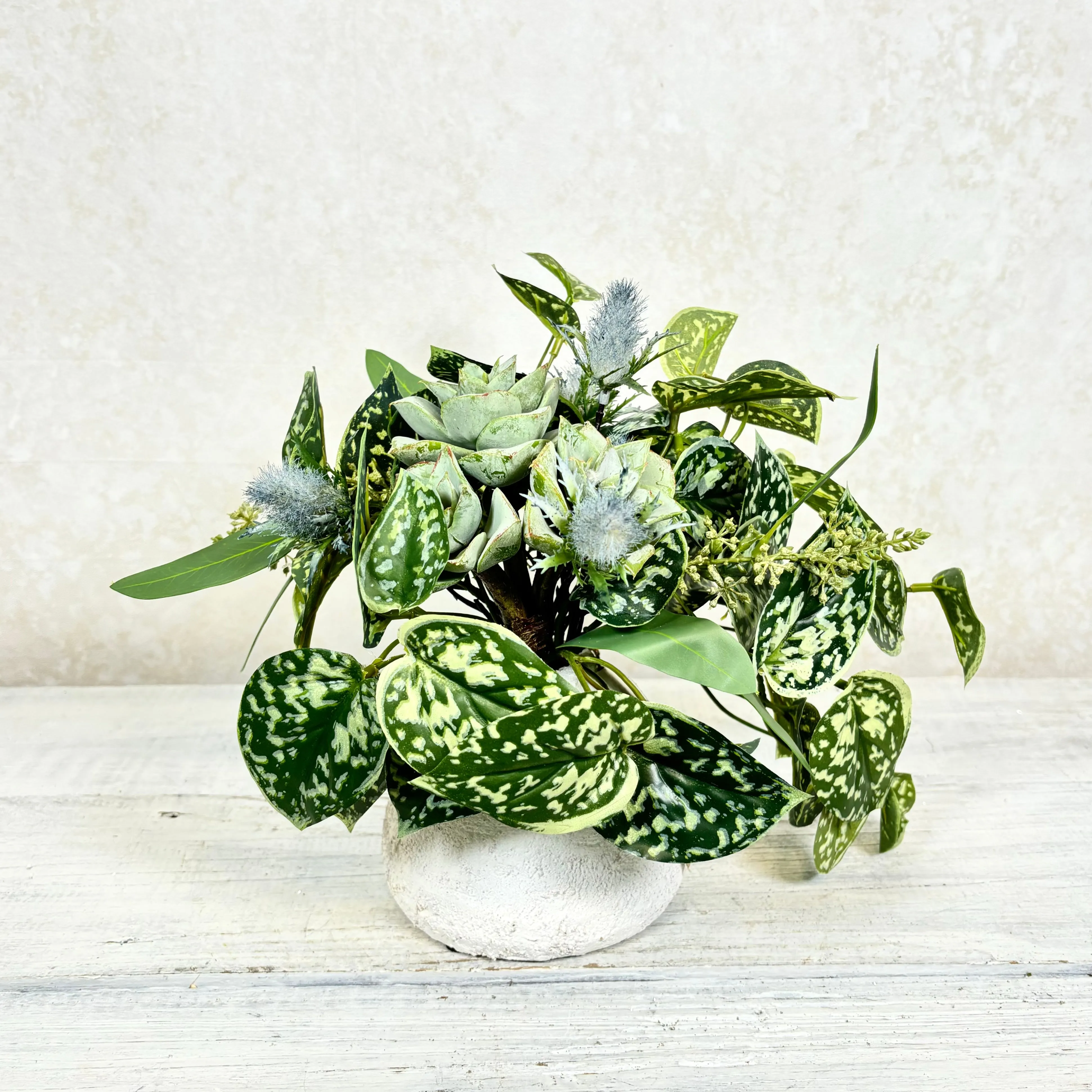 Succulent and Blue Thistle Petite Drop In