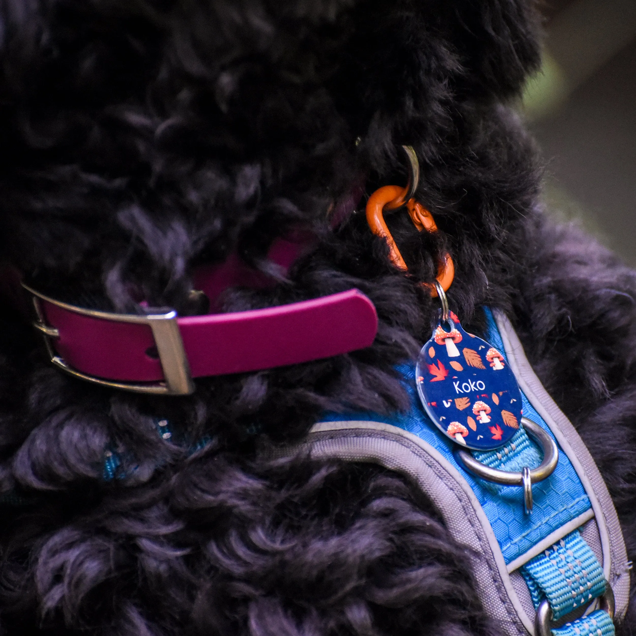 Waterproof & Mud Resistant Biothane Dog Collar