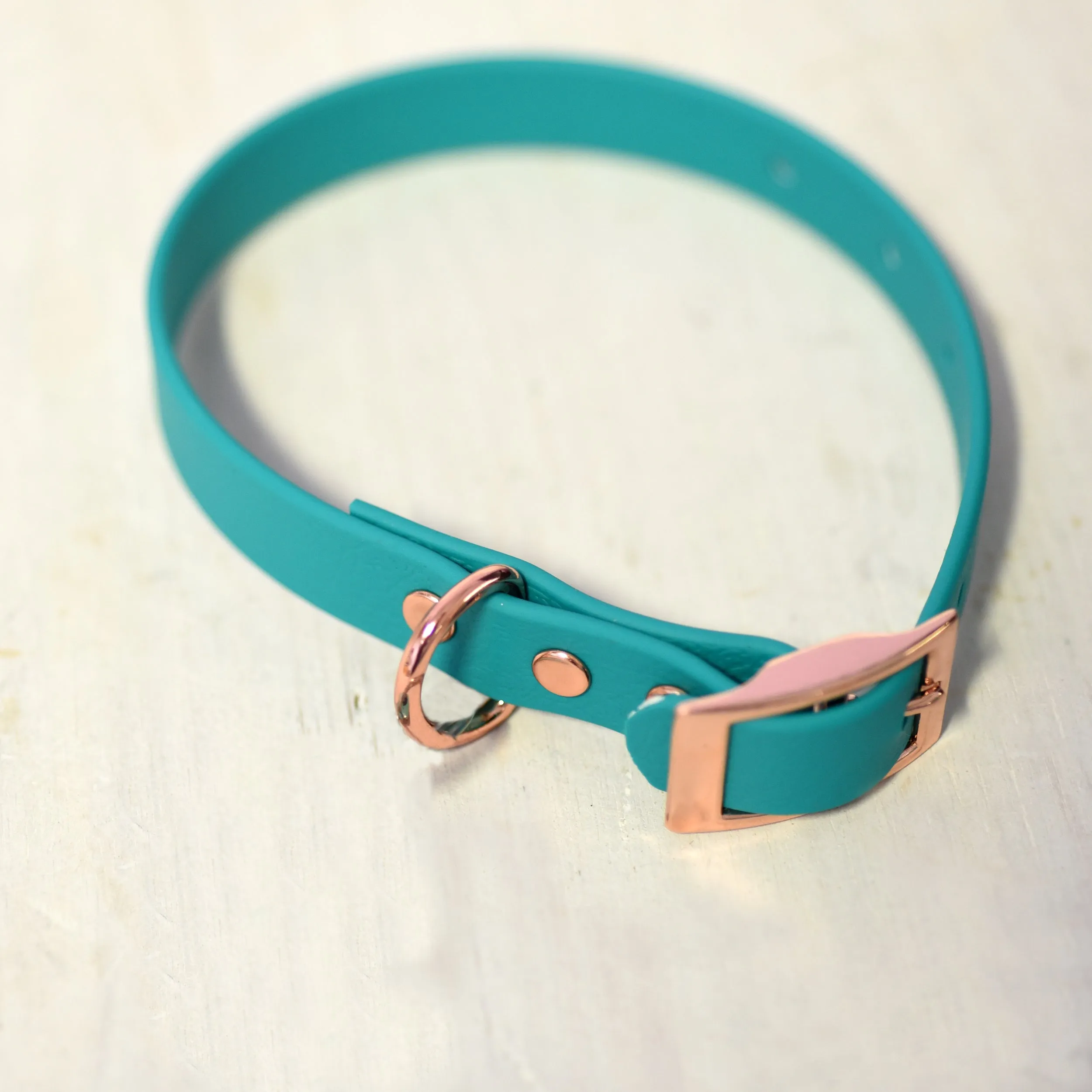 Waterproof & Mud Resistant Biothane Dog Collar