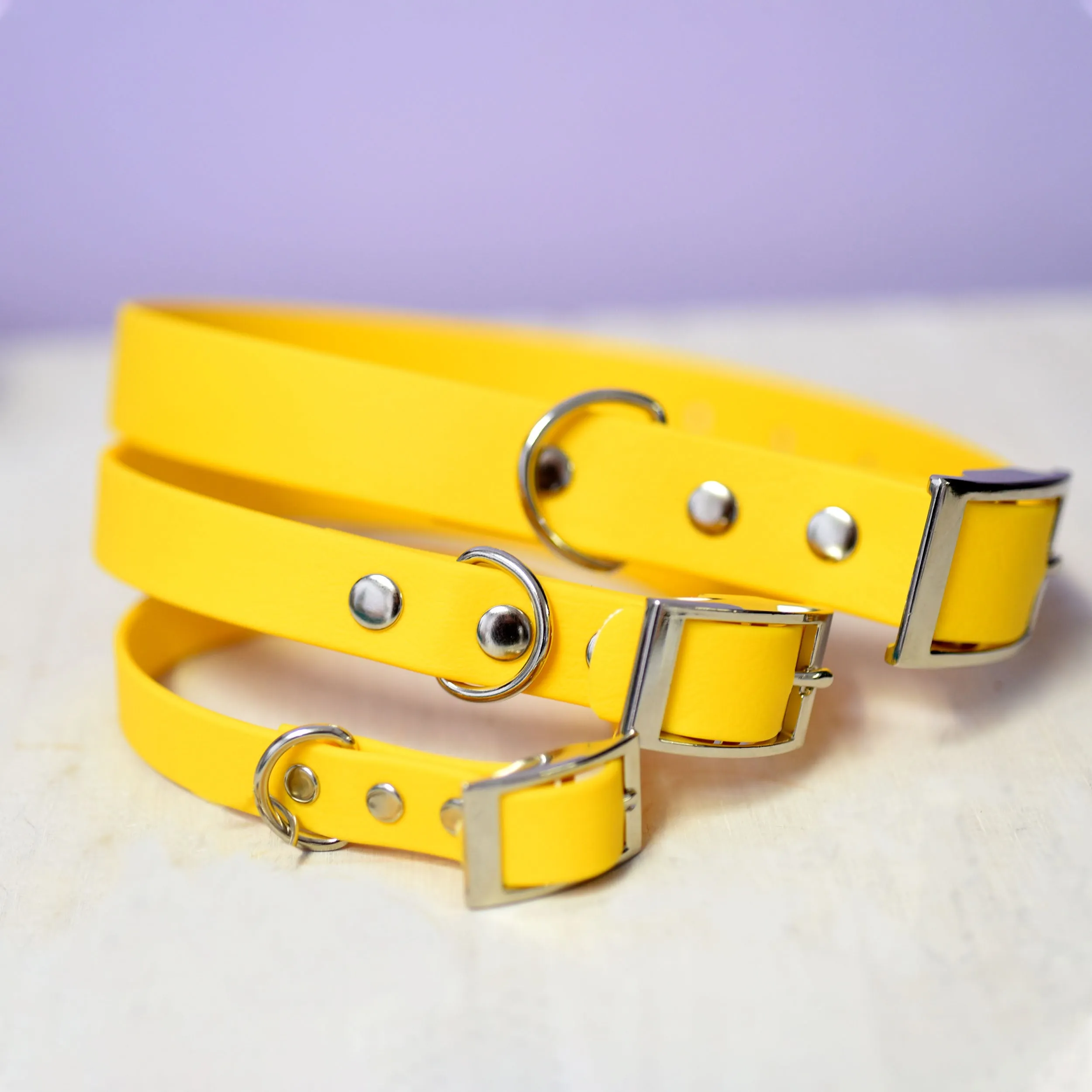 Waterproof & Mud Resistant Biothane Dog Collar