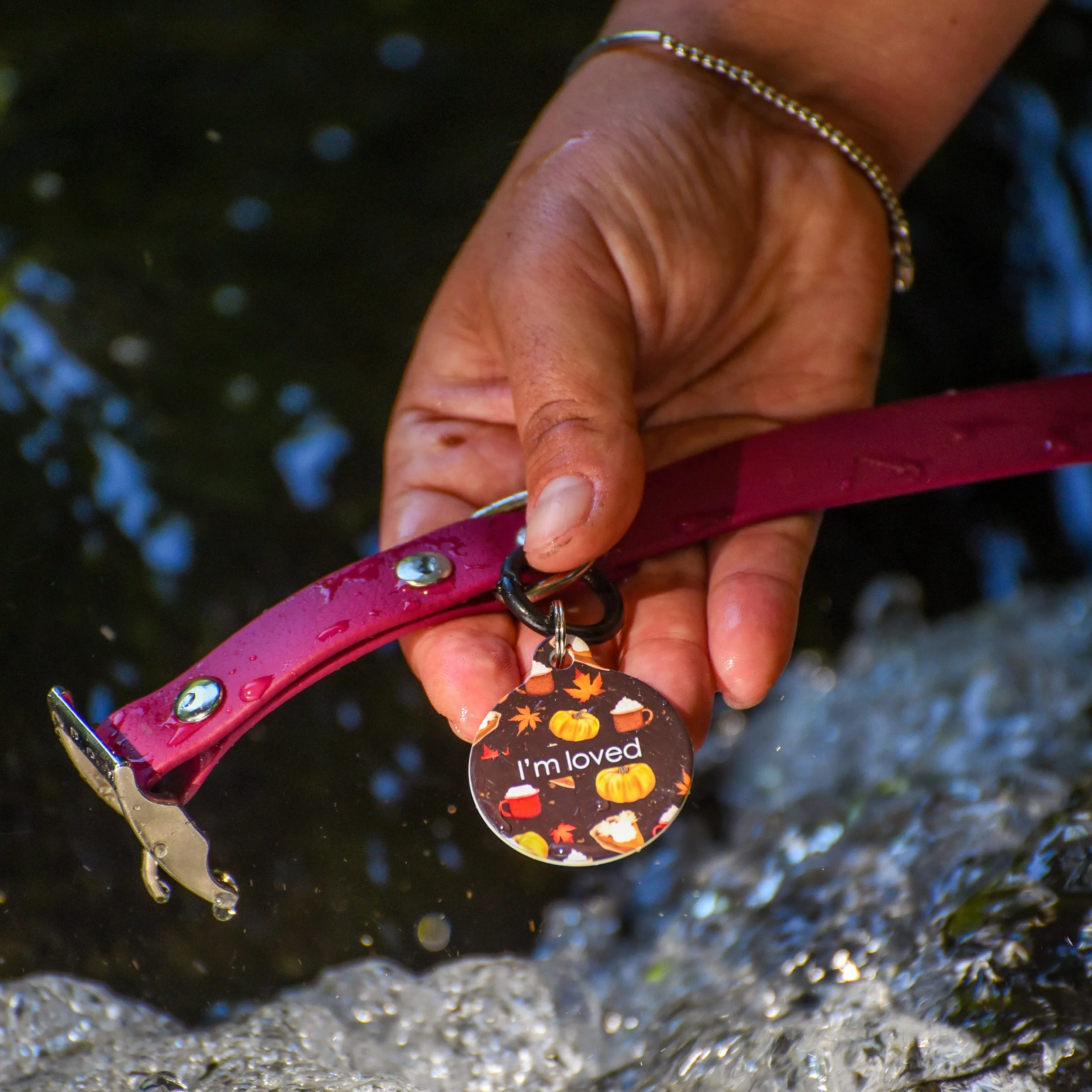 Waterproof & Mud Resistant Biothane Dog Collar