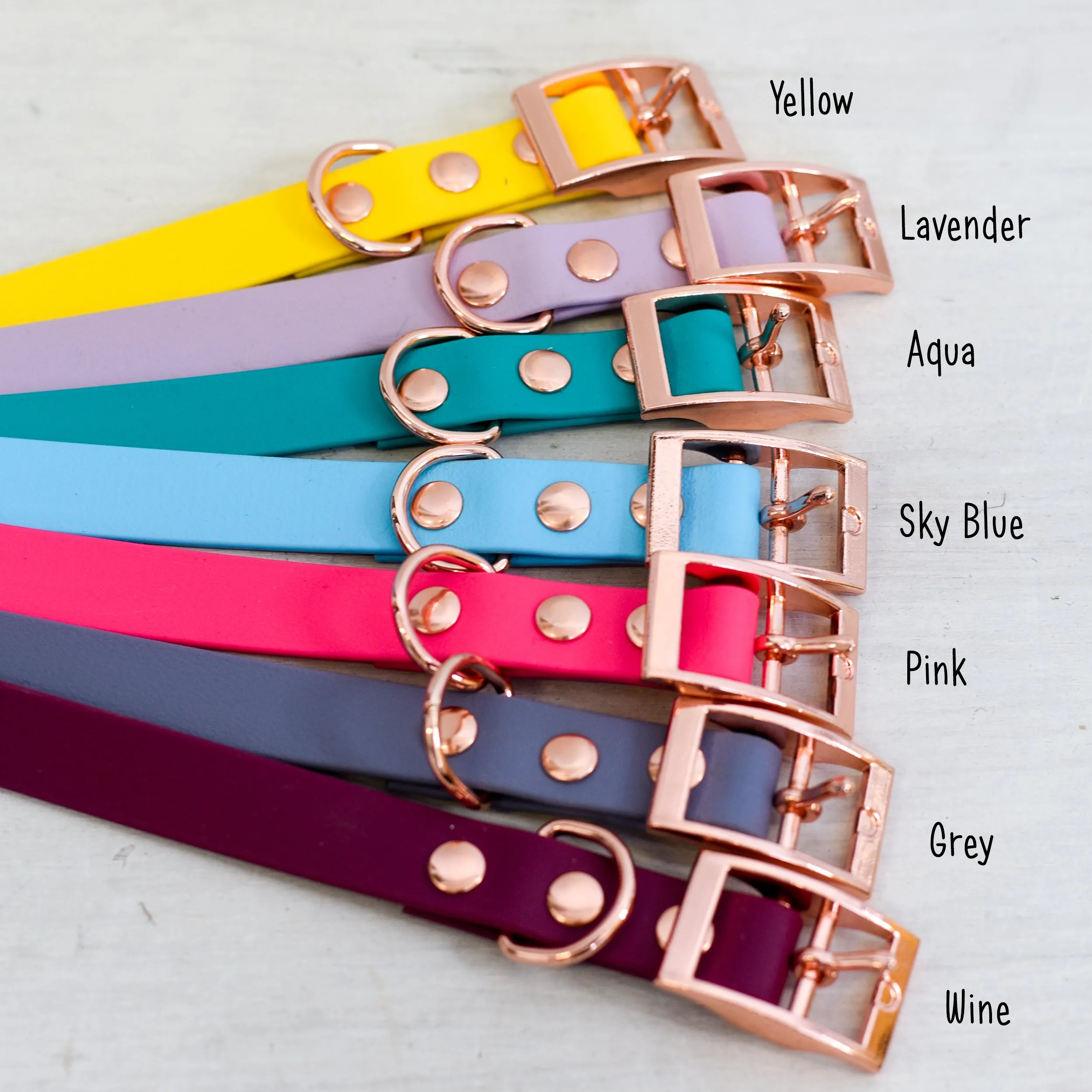 Waterproof & Mud Resistant Biothane Dog Collar