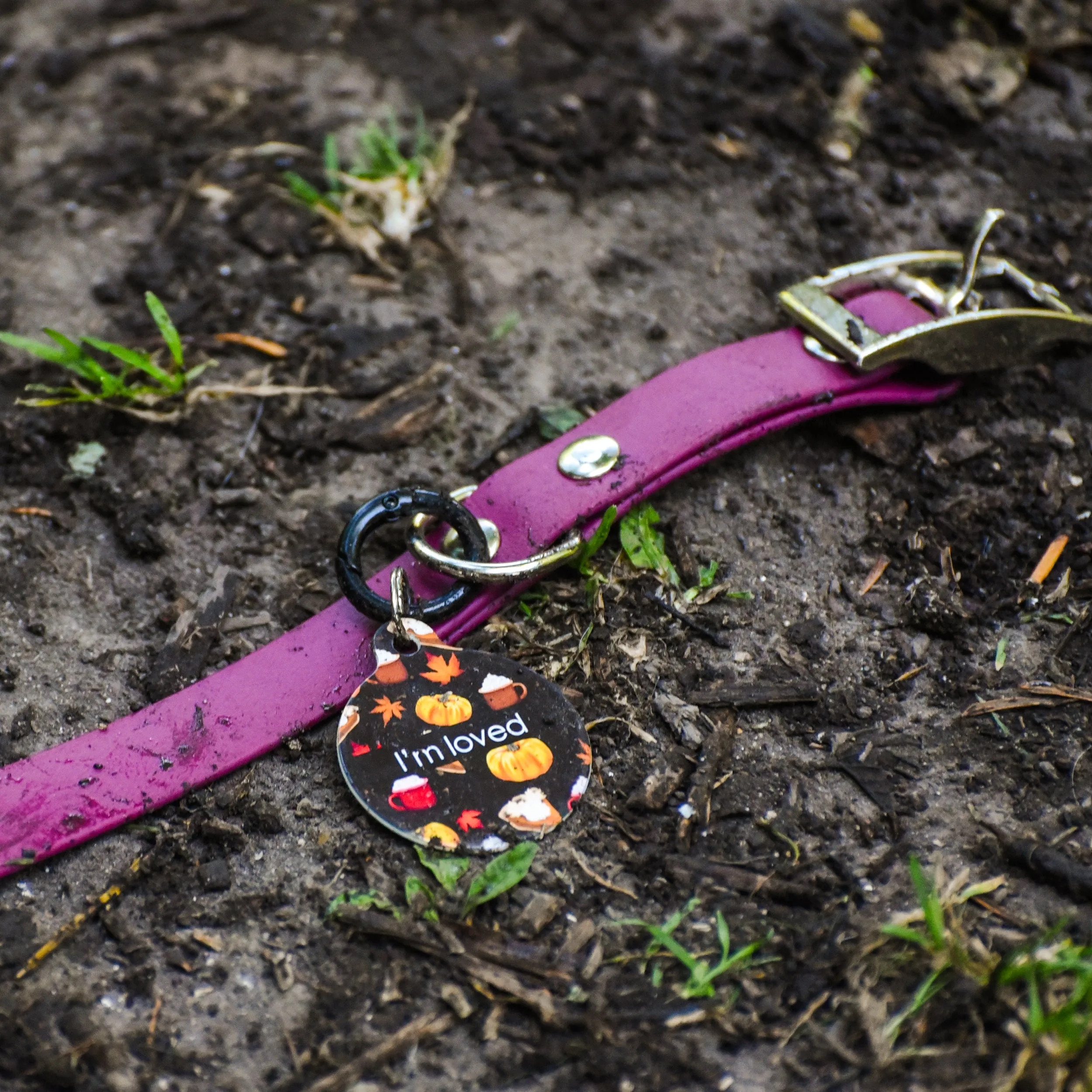 Waterproof & Mud Resistant Biothane Dog Collar